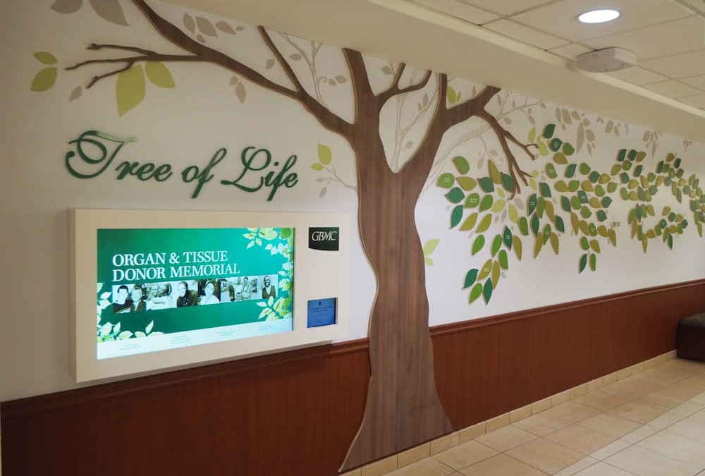 Tree of Life display