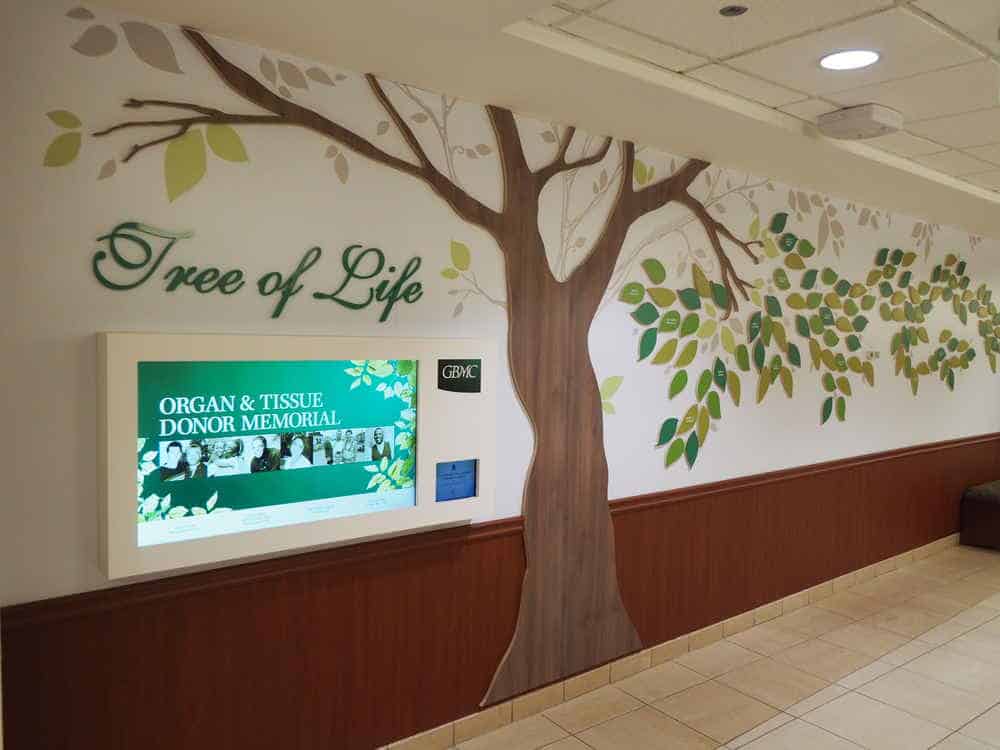 Tree of Life display