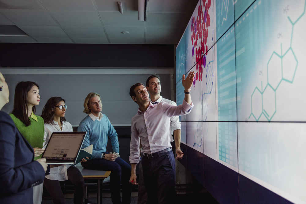 Adults Viewing Data on a Large Display Screen