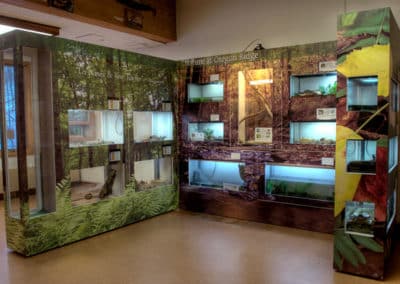 Oregon Ridge Visitor Center Exhibit