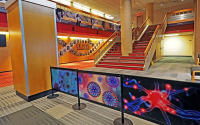 Project of the Month: University of Maryland School of Medicine