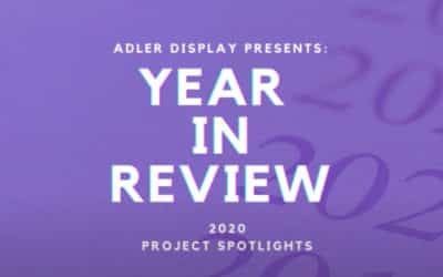 2020 Year in Review: 12 Months of Project Spotlights