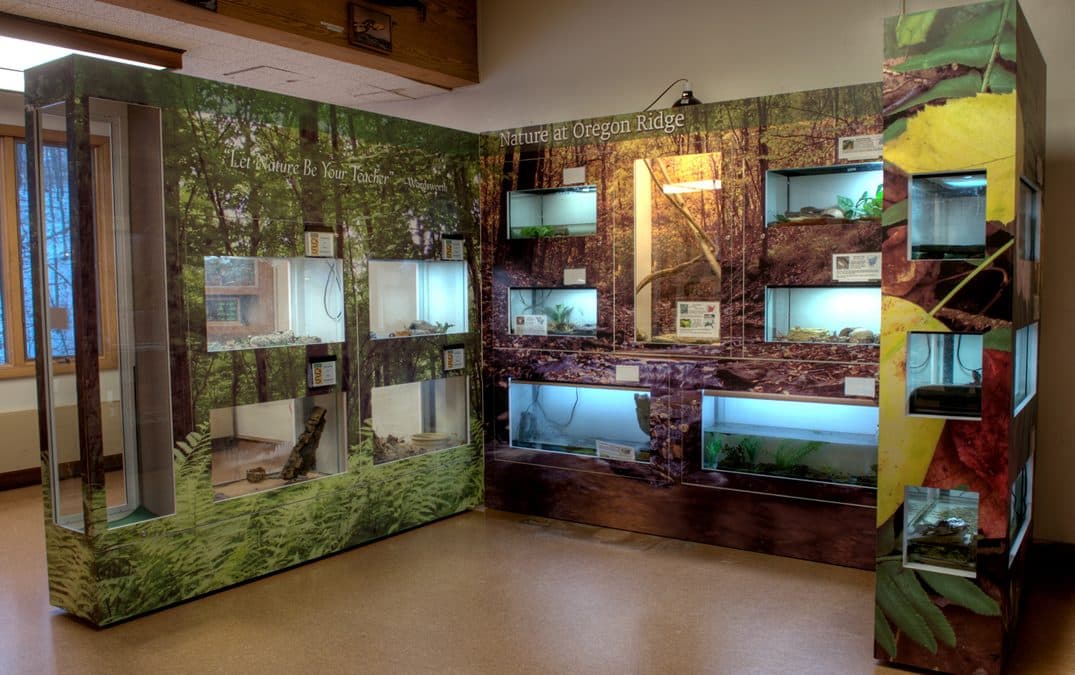 Read on for five clever ways you can generate interest and boost engagement with a creatively-designed visitor center exhibit.