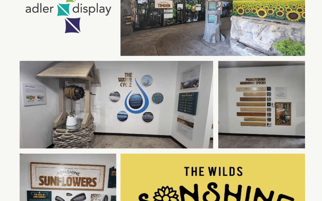 Wild Sonshine collage of work