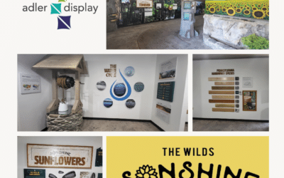 Project of the Month: The Wilds Sonshine Factory