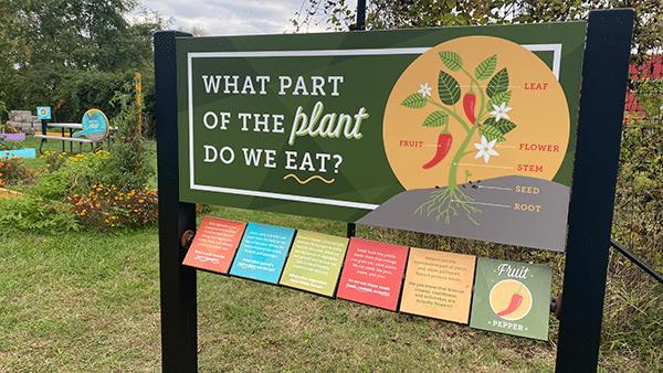 MD Food Bank outdoor garden display