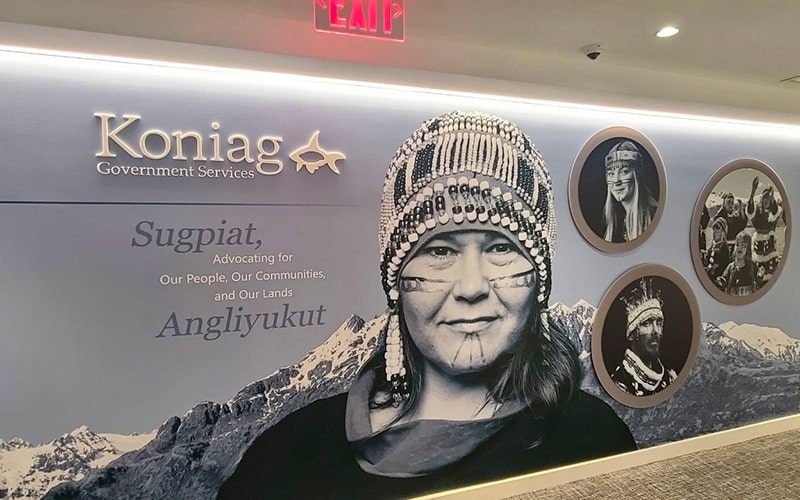 koniag govt services wall covering