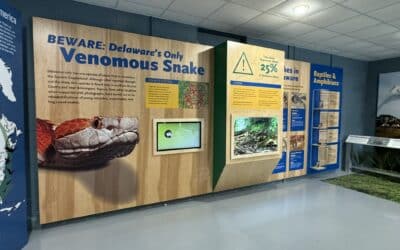 Project of the Month: Delaware Department of Natural Resources