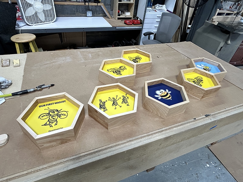 Bedford Bees Exhibit honeycomb insets