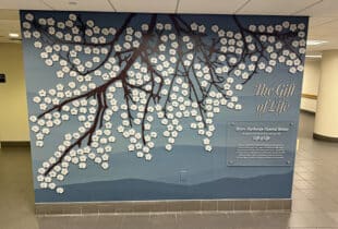 carroll hospital gift of life display