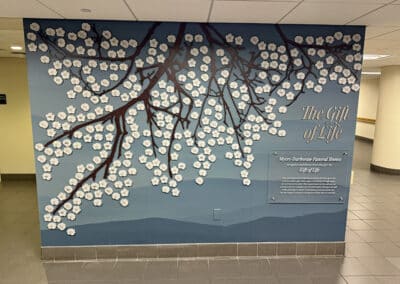 carroll hospital gift of life display