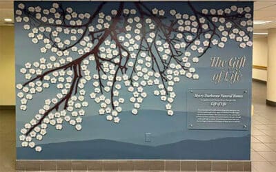 Memorial Displays: Expert Tips for Creating a Lasting Legacy