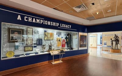 Essential Services to Look for in a Museum Exhibit Builder