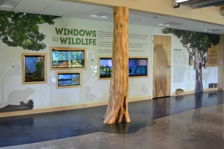 Interactive exhibit design