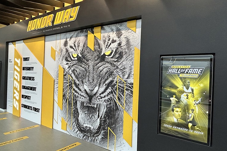 custom sports display