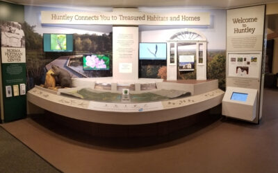 Visitor & Nature Center Exhibits